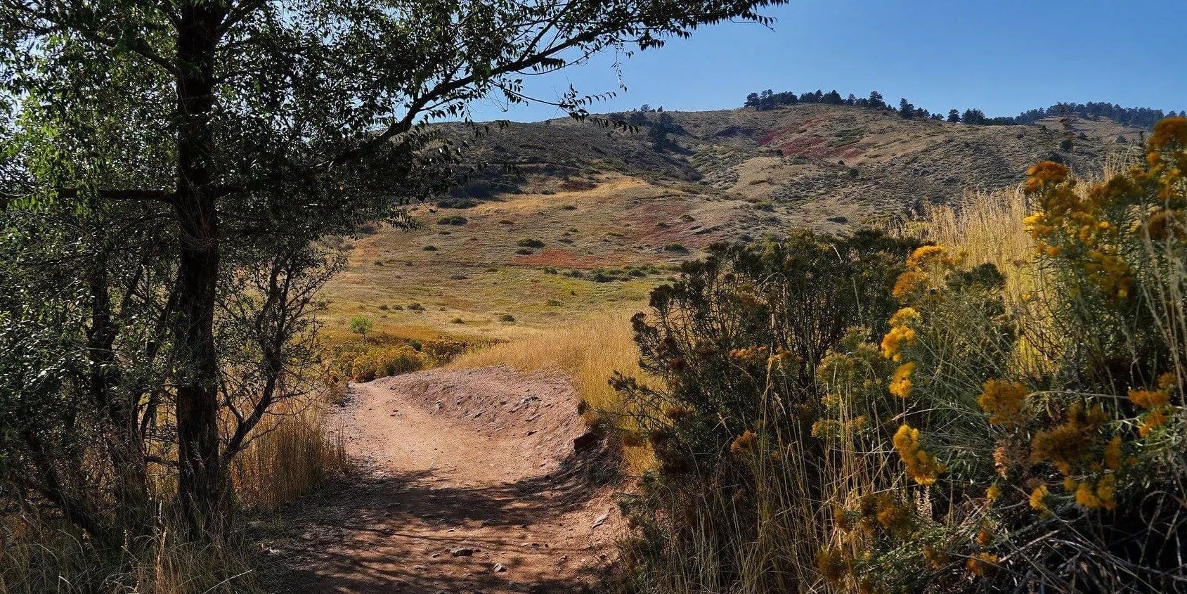 Apex Park.