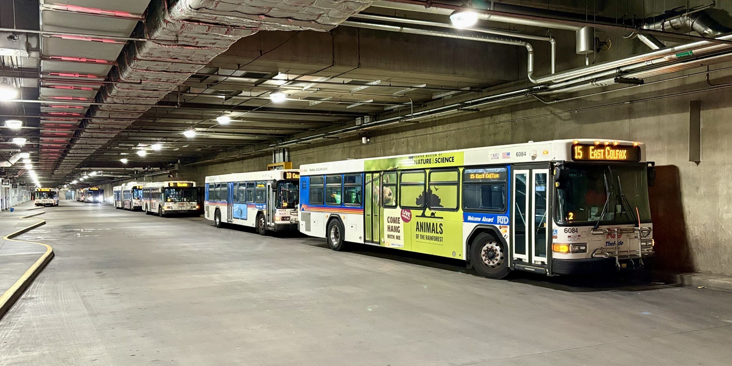 Buses at Denver Union Station.